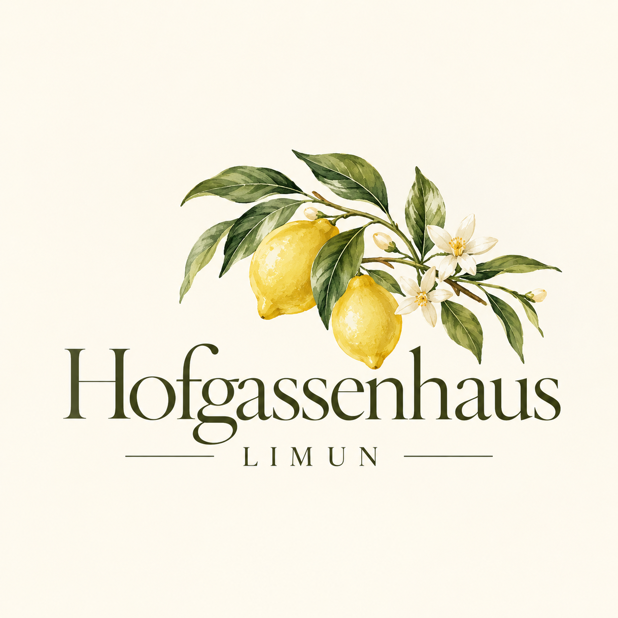 Hofgassenhaus Limun